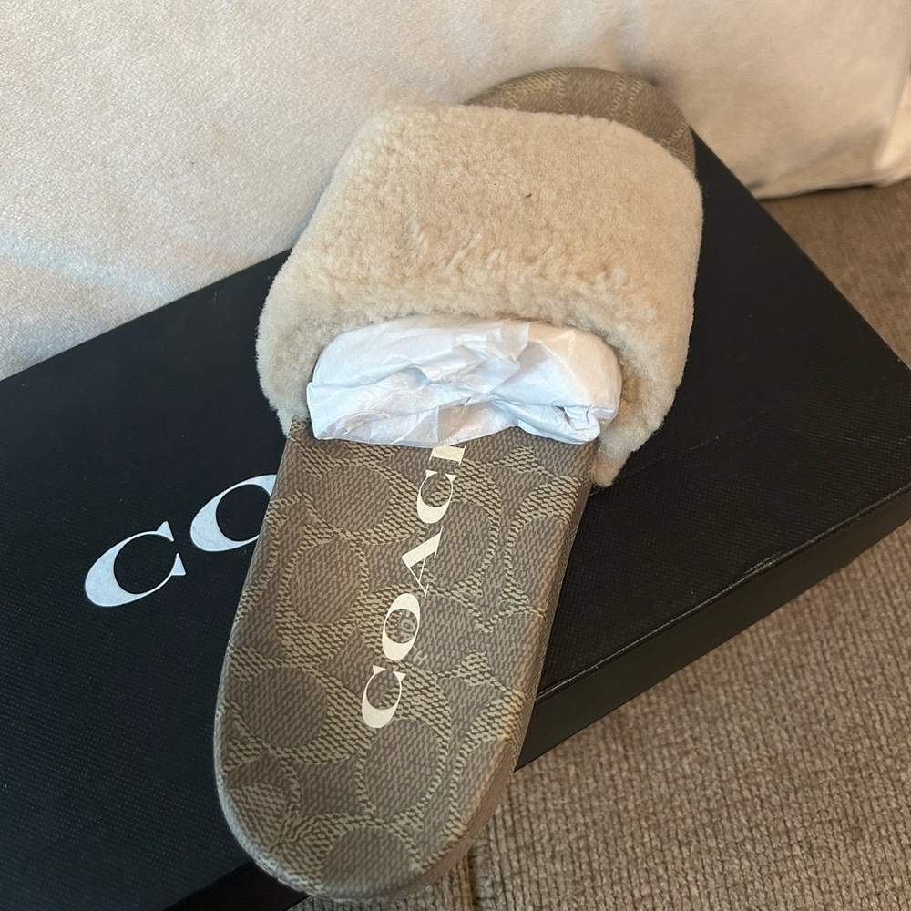 Women’s size 6 Coach slides. BRAND NEW with box.